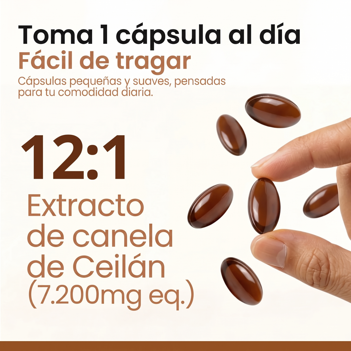 Dosis 12:1